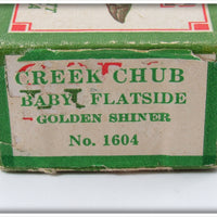 Creek Chub Golden Shiner Baby Injured Minnow In Box