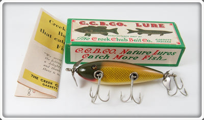 Creek Chub Golden Shiner Lefty Injured Minnow In Box 1504