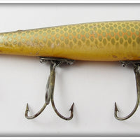 Heddon Shiner Scale Darting Zara