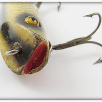 Heddon Shiner Scale Darting Zara