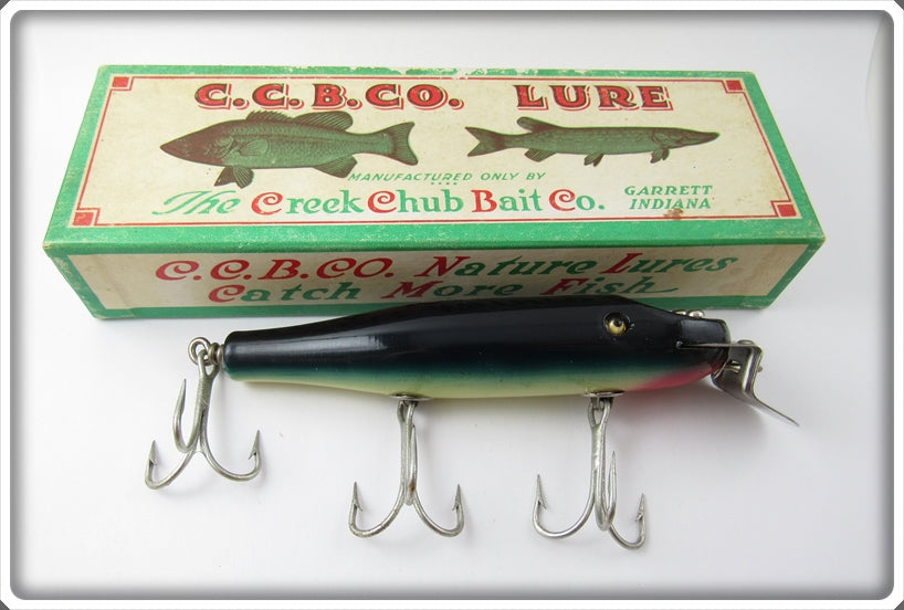 Creek Chub Purple Eel Snook Pikie In Box