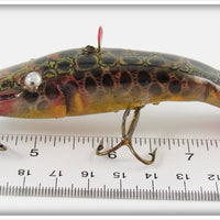 Bud Stewart Spotted Diving Crippled Wiggler