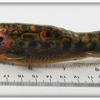 Bud Stewart Spotted Sucker