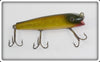 Creek Chub Golden Shiner Darter