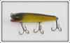 Creek Chub Golden Shiner Darter