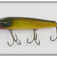 Creek Chub Golden Shiner Darter