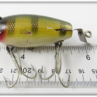 Creek Chub Perch Baby Crawdad