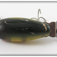 Creek Chub Perch Baby Crawdad