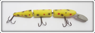 Creek Chub Yellow Spotted Triple Jointed Pikie