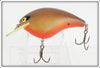 Smithwick Brown Scale With Orange Belly Bo Jack