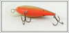 Smithwick Brown Scale With Orange Belly Bo Jack