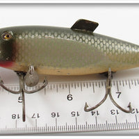 Creek Chub Silver Shiner Fintail Shiner 2103