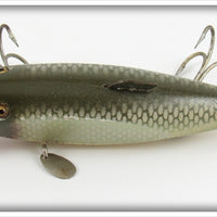 Creek Chub Silver Shiner Fintail Shiner 2103