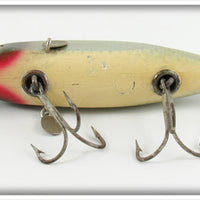 Creek Chub Silver Shiner Fintail Shiner 2103