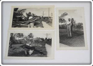 3 Early 1960's Original Photos Of A Man With A Marlin