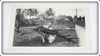 3 Early 1960's Original Photos Of A Man With A Marlin