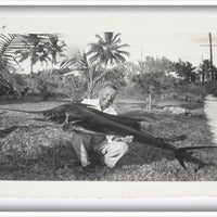 3 Early 1960's Original Photos Of A Man With A Marlin