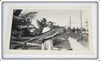 3 Early 1960's Original Photos Of A Man With A Marlin