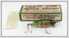 Vintage Creek Chub Perch Baby Flatside Lure In Box 1601