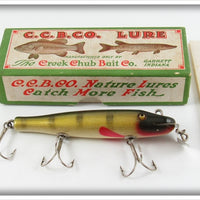 Vintage Creek Chub Perch Finish Pikie Lure In Box 701