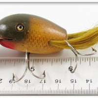 Creek Chub Golden Shiner Dingbat 5104