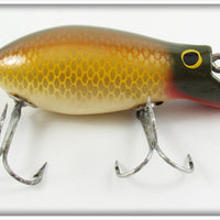 Creek Chub Golden Shiner Dive Bomber Kreeker In Box 6604