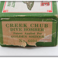 Creek Chub Golden Shiner Dive Bomber Kreeker In Box 6604