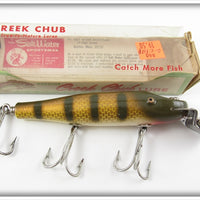 Creek Chub Golden Shiner With Stripes Snook Pikie Lure 3404 W Special
