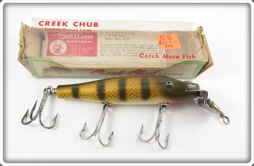 Creek Chub Golden Shiner With Stripes Snook Pikie Lure 3404 W Special