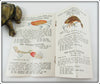 The Creek Chub Bait Co Old Fisherman Pocket Catalog