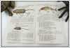 The Creek Chub Bait Co Old Fisherman Pocket Catalog