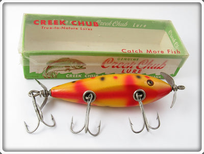 Creek Chub Yellow Spotted Injured Minnow In Box