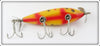 Creek Chub Yellow Spotted Injured Minnow In Box