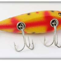 Creek Chub Yellow Spotted Injured Minnow In Box