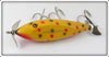 Creek Chub Yellow Spotted Injured Minnow In Box