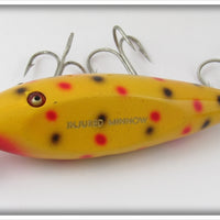Creek Chub Yellow Spotted Injured Minnow In Box