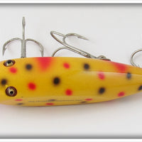 Creek Chub Yellow Spotted Injured Minnow In Box