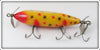 Creek Chub Yellow Spotted Injured Minnow In Box