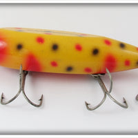 Creek Chub Yellow Spotted Injured Minnow In Box