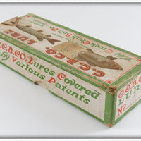 Creek Chub Perch Injured Minnow In Box