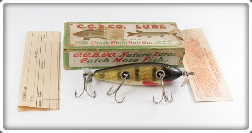 Vintage Creek Chub Perch Injured Minnow Lure In Box 1501 