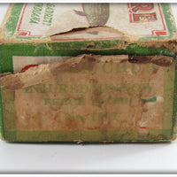 Creek Chub Perch Injured Minnow In Box