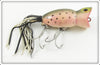 Fred Arbogast Rainbow Trout 5/8 Ounce Hula Popper