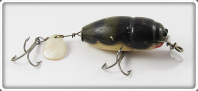 Creek Chub Natural Crab Midget Beetle