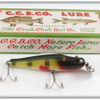 Vintage Creek Chub Perch Baby Pikie Lure In Box 901