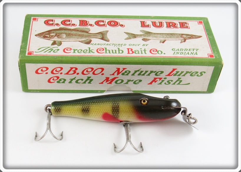 Vintage Creek Chub Perch Baby Pikie Lure In Box 901