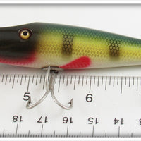 Creek Chub Perch Baby Pikie In Box 901