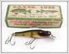 Vintage Creek Chub Perch Scale Baby Pikie Lure In Box 901 