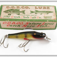 Vintage Creek Chub Perch Scale Baby Pikie Lure In Box 901 