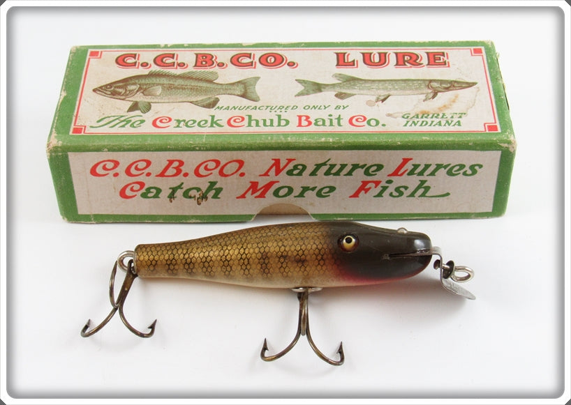 Vintage Creek Chub Pikie Finish Baby Pikie Lure In Box 900